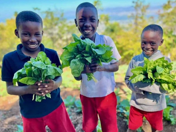 51980423250_ca03dd3aed_b