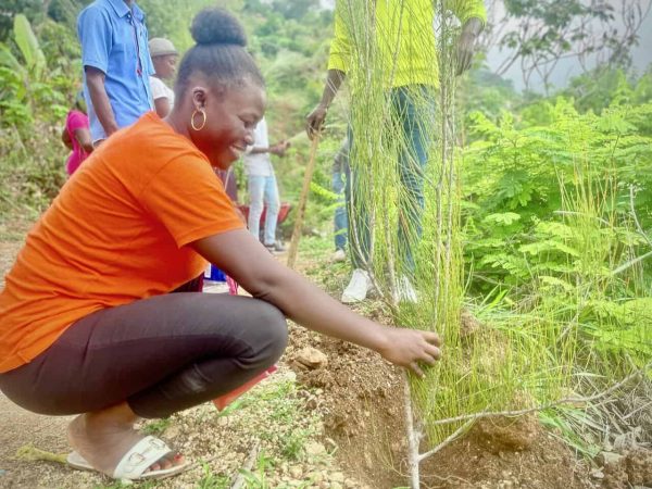 54577345432_53be0f3421_k