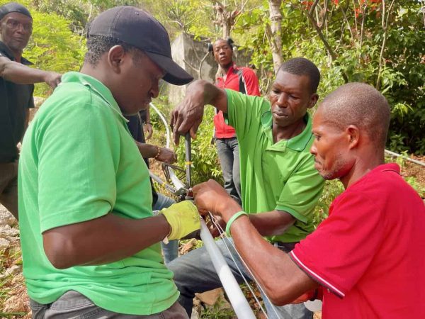 54578389044_0a1c51f9c9_k