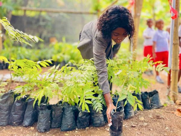 54875321786_0b10b4da3b_k