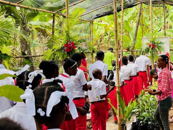 54875545613_3a248f9bc0_k